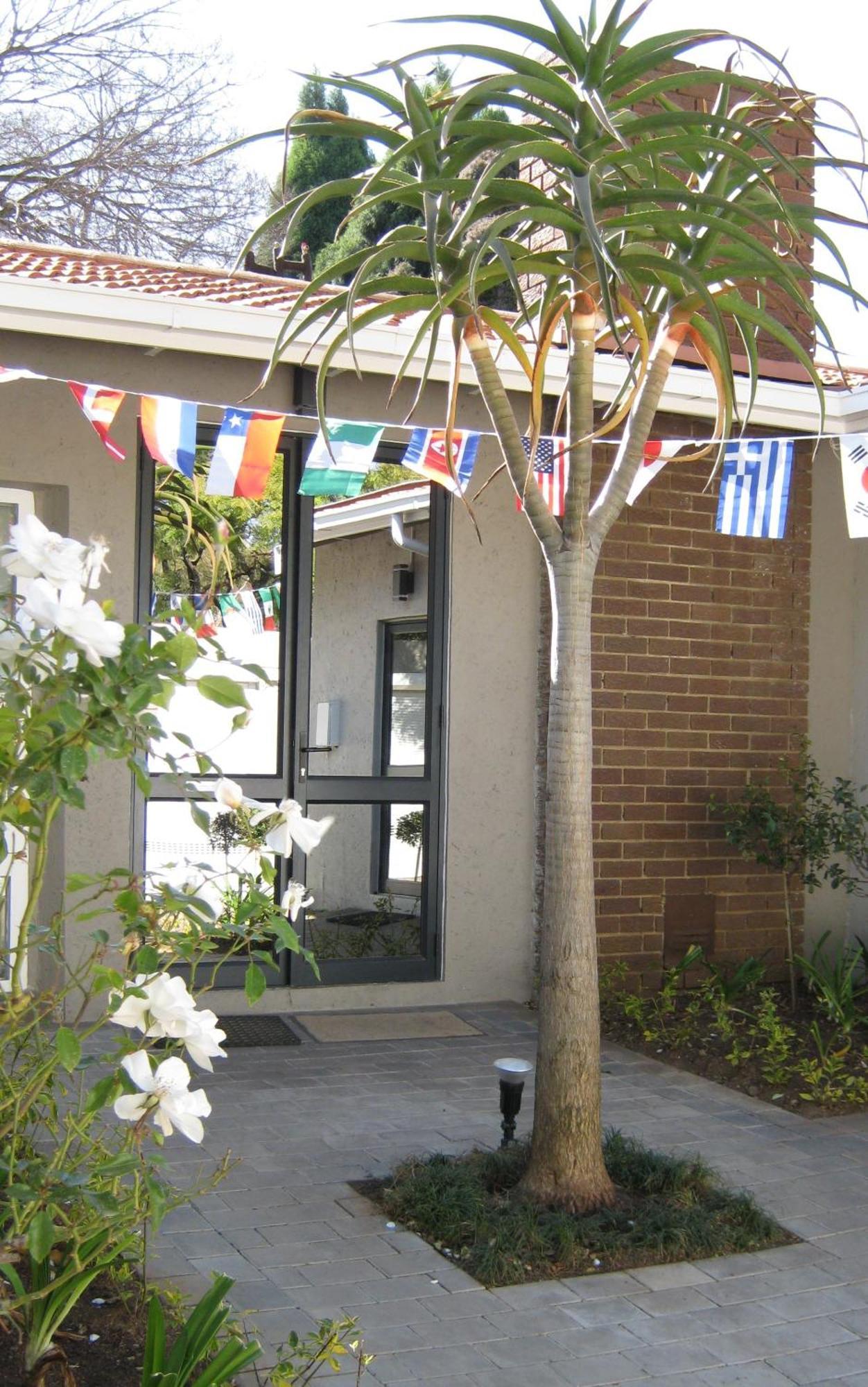 Rosebank Lodge Guesthouse By Claires Johannesburg Ngoại thất bức ảnh