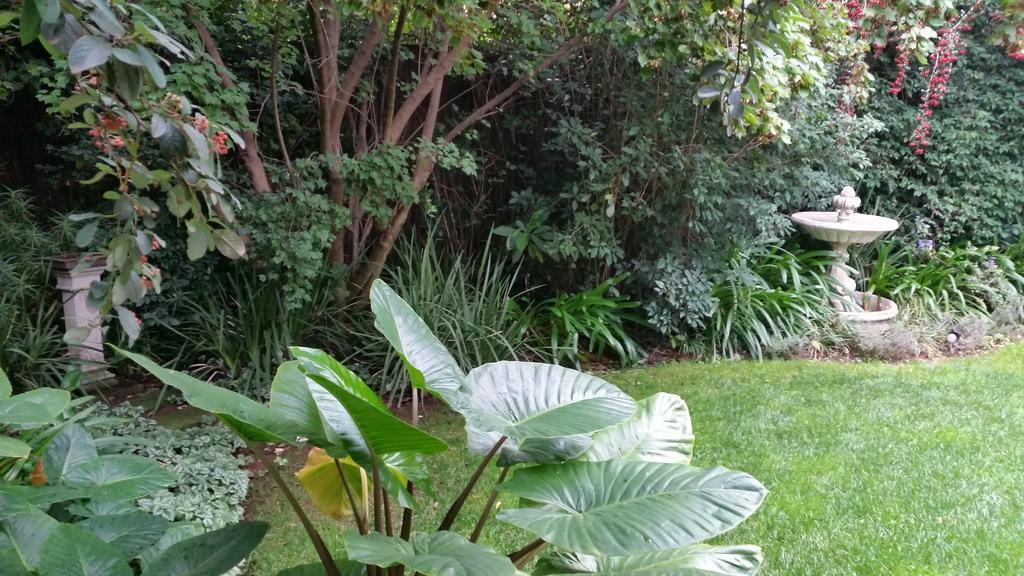 Rosebank Lodge Guesthouse By Claires Johannesburg Ngoại thất bức ảnh