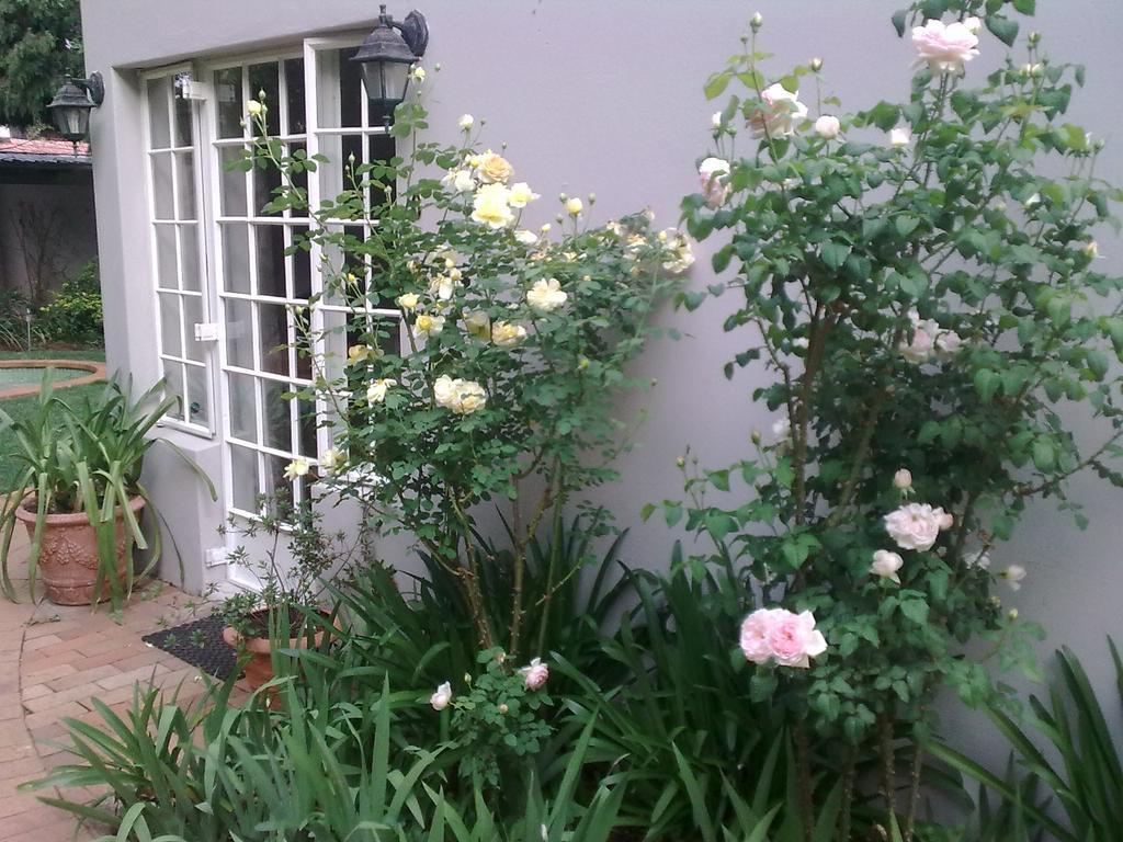 Rosebank Lodge Guesthouse By Claires Johannesburg Ngoại thất bức ảnh