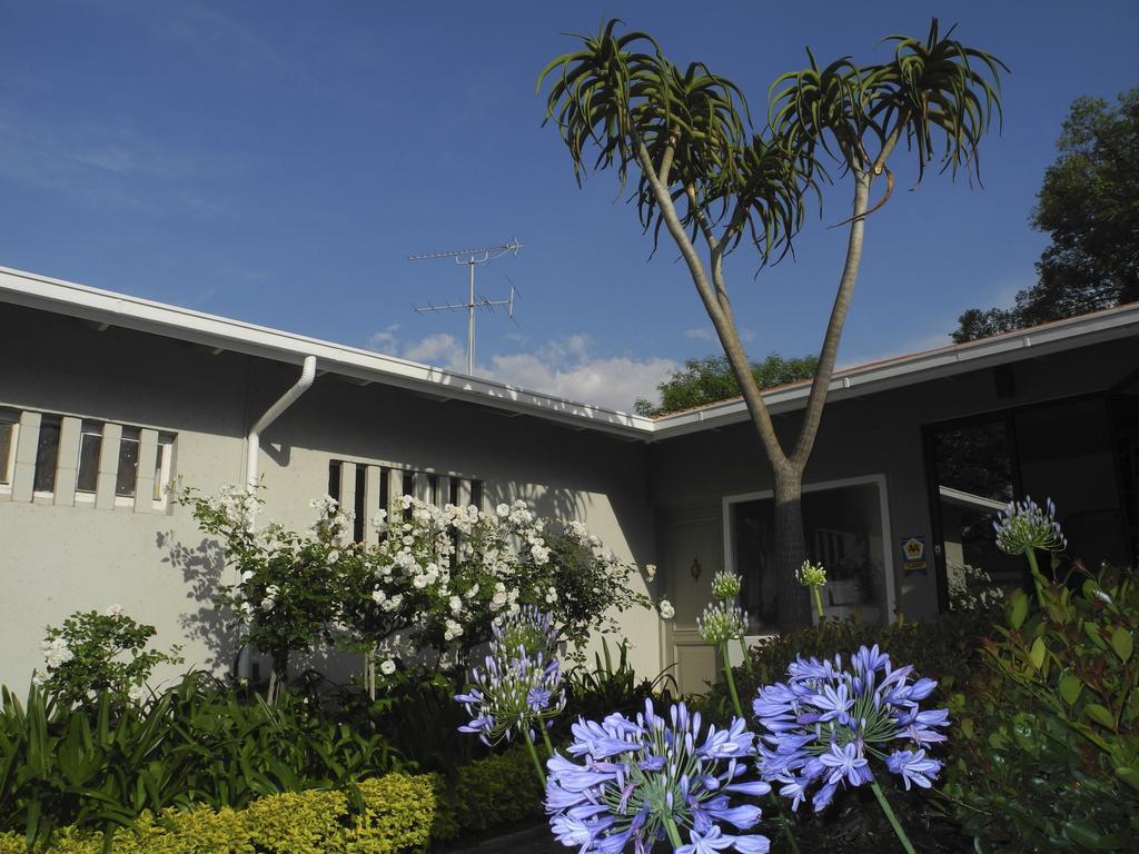 Rosebank Lodge Guesthouse By Claires Johannesburg Ngoại thất bức ảnh