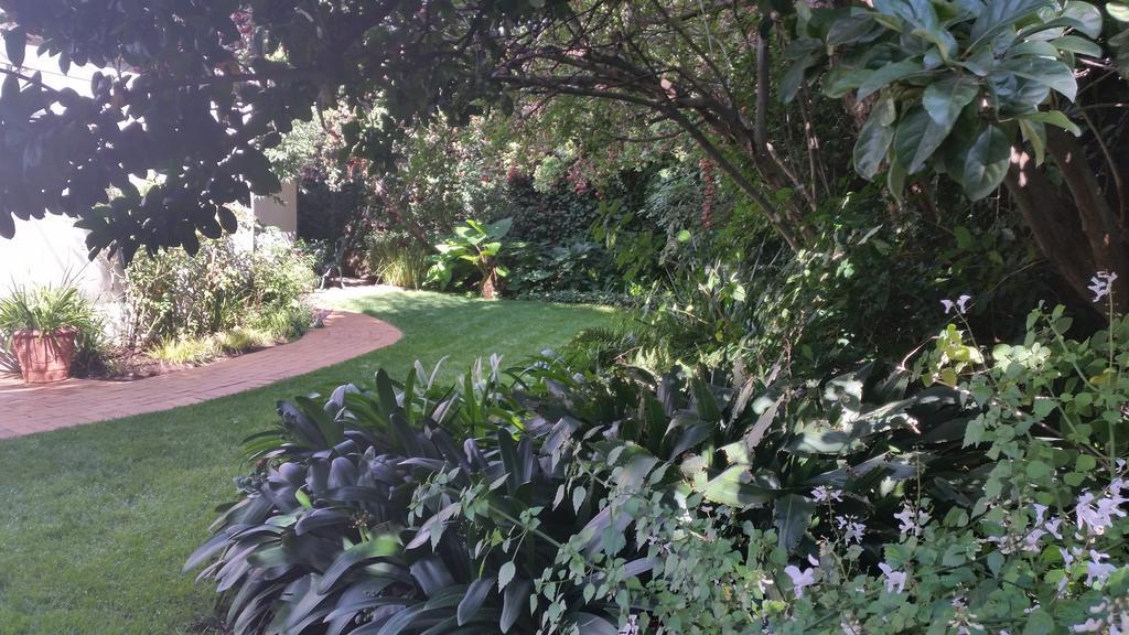 Rosebank Lodge Guesthouse By Claires Johannesburg Ngoại thất bức ảnh