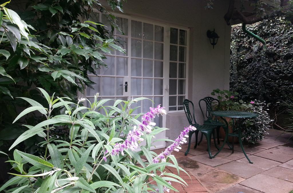 Rosebank Lodge Guesthouse By Claires Johannesburg Ngoại thất bức ảnh
