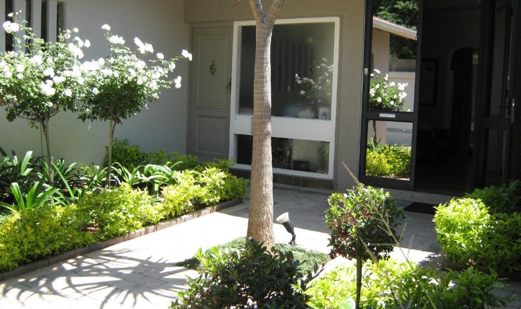 Rosebank Lodge Guesthouse By Claires Johannesburg Ngoại thất bức ảnh