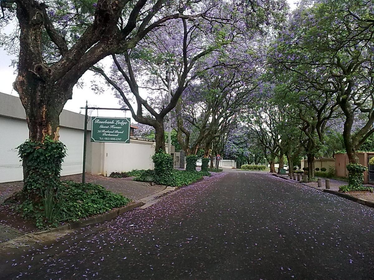 Rosebank Lodge Guesthouse By Claires Johannesburg Ngoại thất bức ảnh